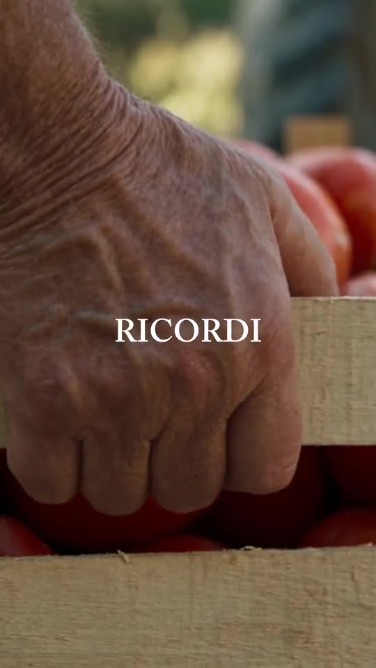 Reel Phocal Studio: Ricordi · Calabria