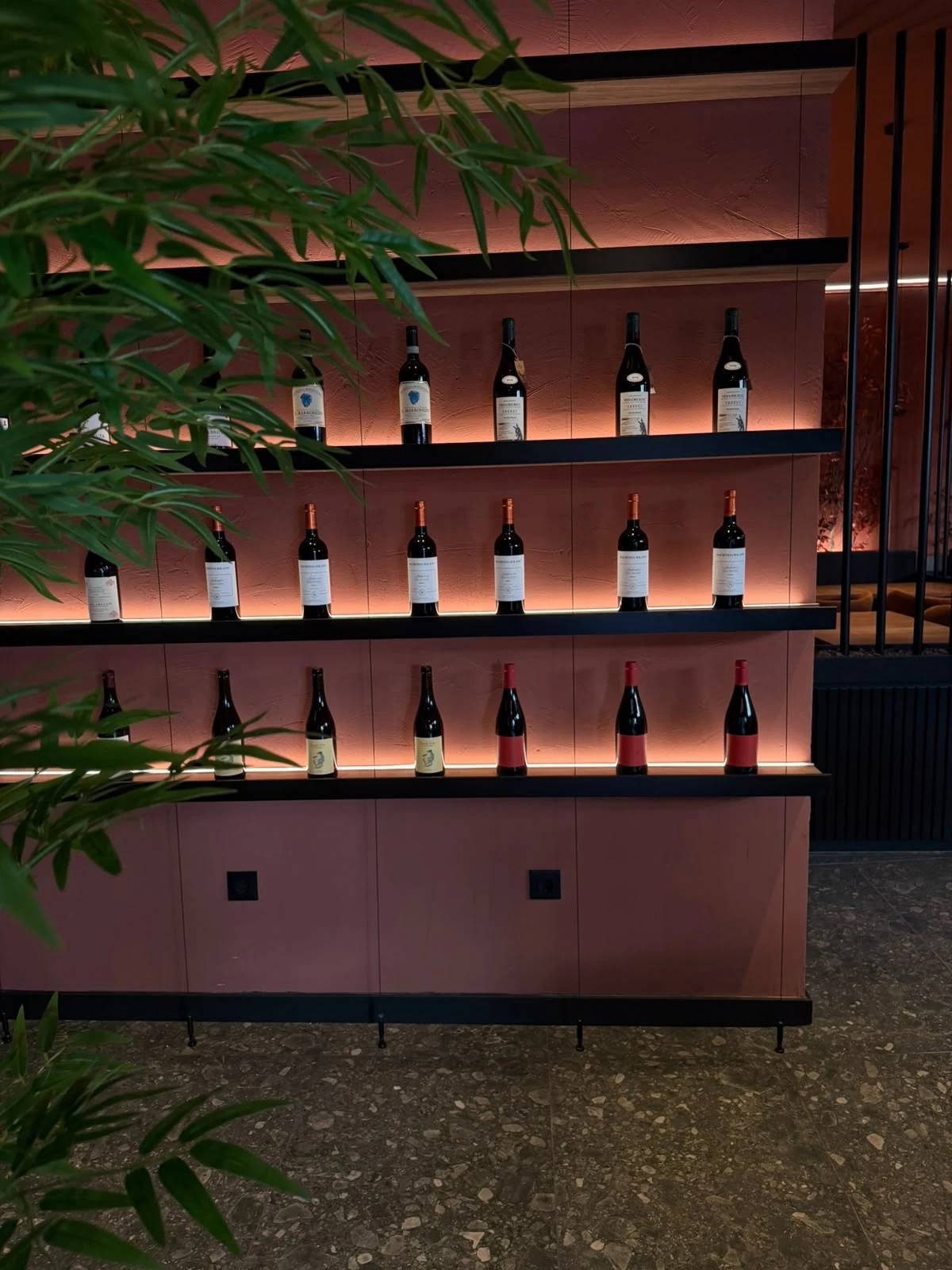 TANTŌ Alicante — The wines